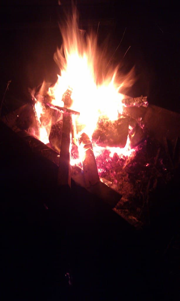 ToastyMallow